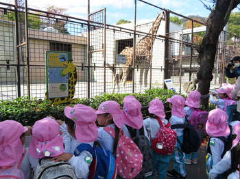 動物園5